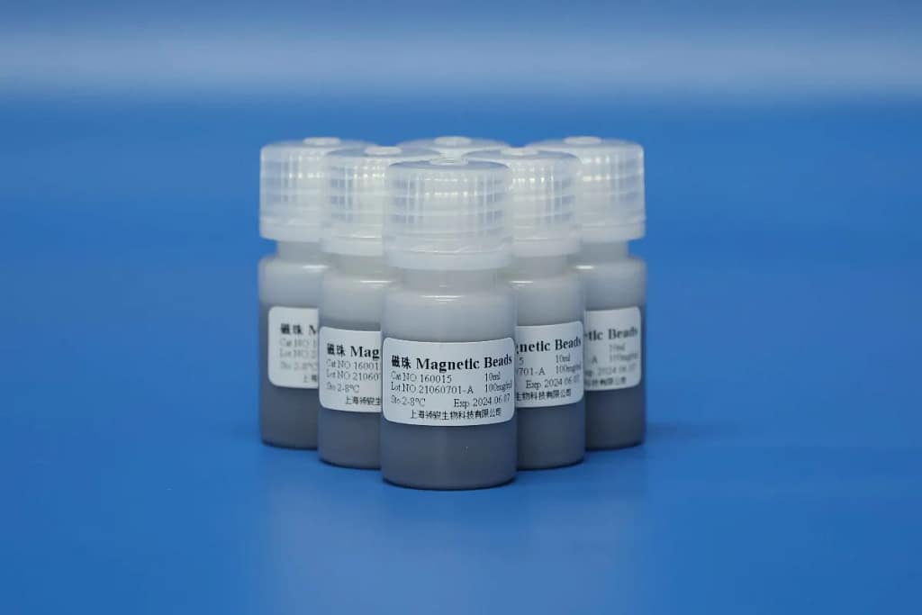 Magnetic Beads for DNARNA Extraction and Purification (2)