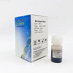 Magnetic Beads For Extraction and Purification of Trace DNA/RNA 160011