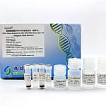 Ultra-Trace Cells DNA /RNA Extraction Kit 231013