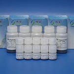 Magnetic Beads For Extraction and Purification of Trace DNARNA 160011 (2)