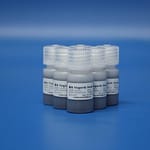 Lnjnbio® Magnetic Beads 220011