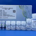 Endotoxin-free Plasmid DNA Extraction Kit for Small-volume Samples 241001S