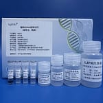Plant Total RNA Extraction Kit 160933