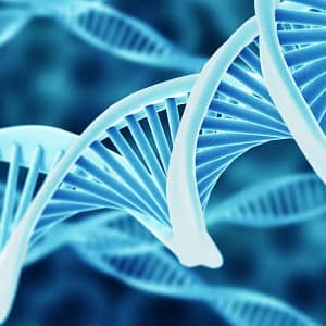 DNA/RNA Extraction Kit