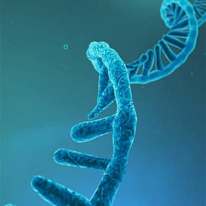 Total RNA Extraction Kit